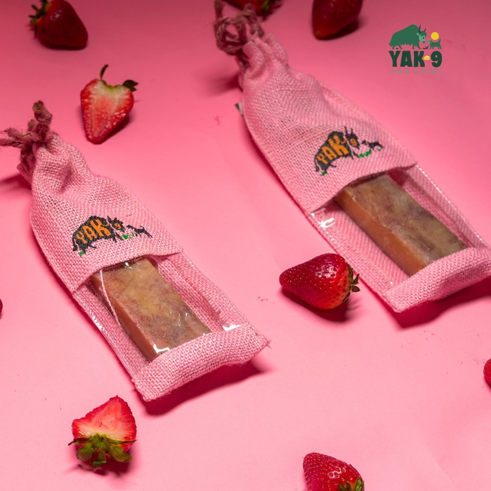 Strawberry Cheese Chews for Dogs