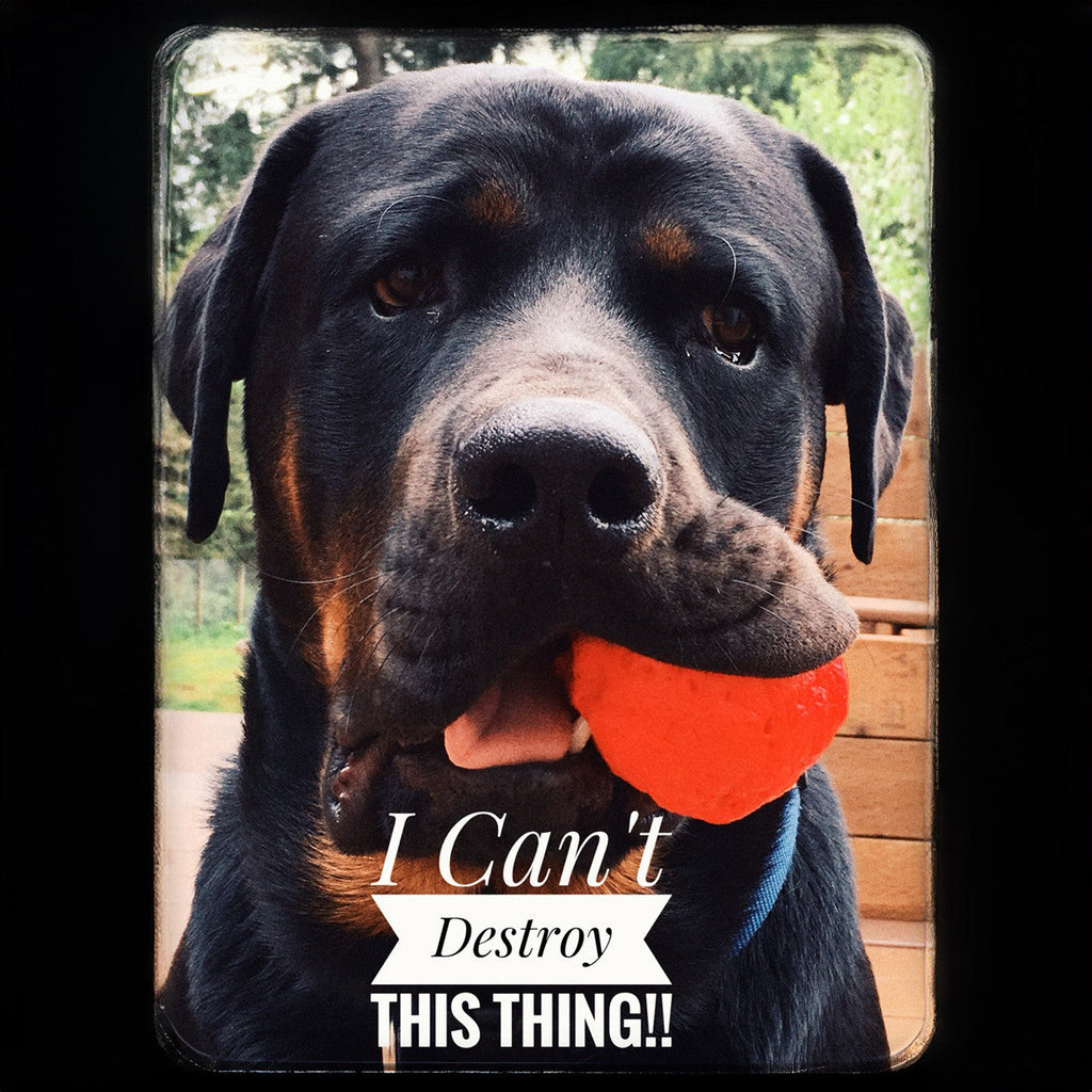 WUNDERball - Best Fetch Toy
